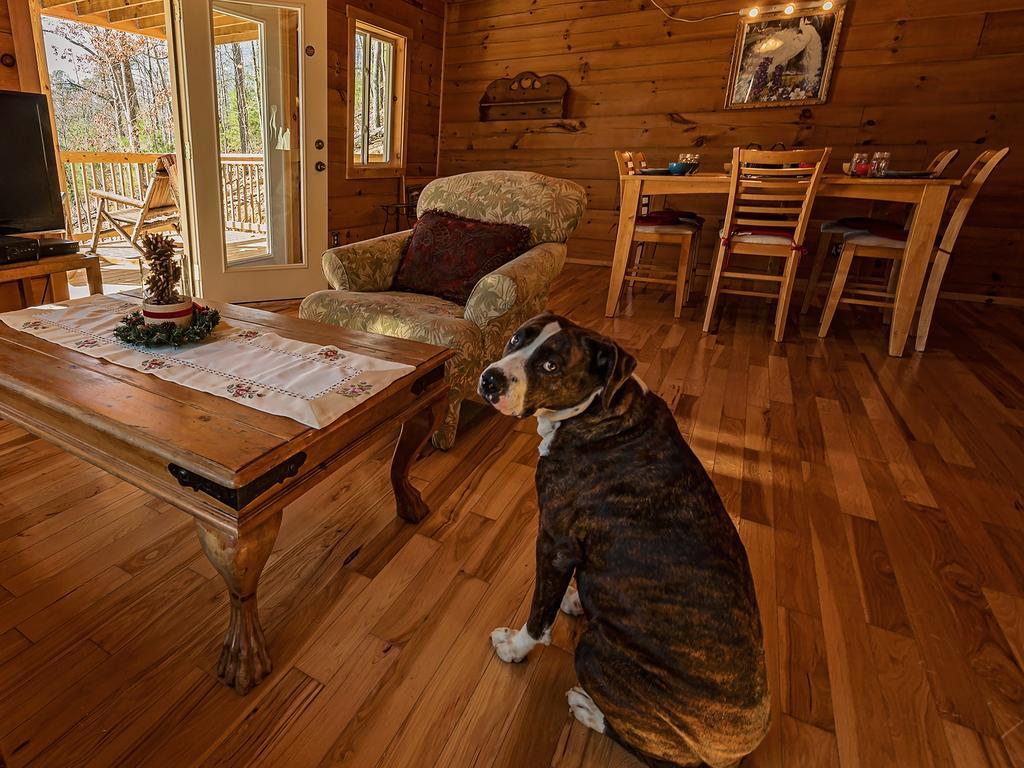 מלון סביירוויל Log Cabin In Smoky Mountains מראה חיצוני תמונה